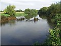 River Stour looking North