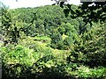 Avon River Valley from above West Bank