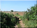 Public footpath, Sheepwalk Lane.