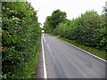 Country lane to the north