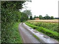 Andrews Farm Lane towards the farm