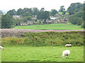 Hetton from beyond the railway