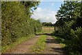 The Green Road near Ballyroney (2)