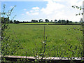 Farmland near Bilbut Farm, Bradley Court Road