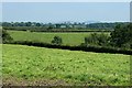 Pasture land near Southwood