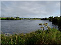 Craigavon (Balancing) Lakes