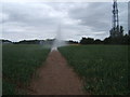 Footpath across field