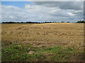 Farmland south of Market Drayton