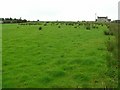 Loughduff Townland