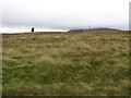 Standing stone at Mullaghsandall