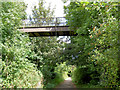 Footbridge over Trans Pennine Trail.