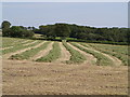 Hay drying near Keyethern Farm