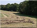 Tractor in hayfield