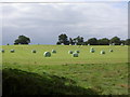 Hay Bales on Hill Top Farm.