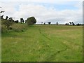 Fields, Highchesters