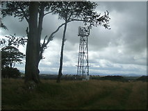 NJ8722 : Phone Mast at Changehill by Ken Fitlike