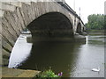 River Thames: Kew Bridge