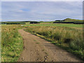 The farm road to Lamblairknowe