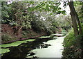 Beverley & Barmston Drain, Newland