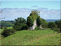 W2971 : Castle ruins near Macroom by Mike Searle