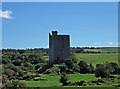 W2973 : Castles of Munster: Carrigaphooca, Cork (1) by Mike Searle