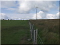 Fence between the open upland grazing and "improved" grassland