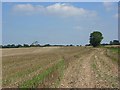 Farmland, Pertwood