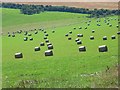 Hay bales