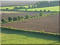 Farmland, Kingston Deverill