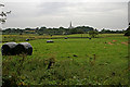 Field by the Leeds Liverpool canal