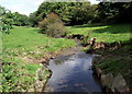 Afon Nyfer near Crymych