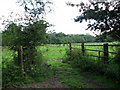 Pasture near Lodge Farm