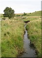 Kirkton Burn