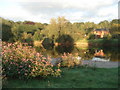 River Wye at Glasbury