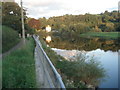 River bank at Glasbury