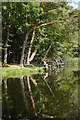 Fishing on Fachwen Pool