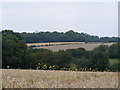 View from B656 north-west across fields towards Easthall