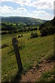 The Severn Way above Aberhafesp