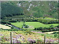 Ffermdy Dol-y-clochydd Farmhouse