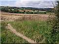 ST5117 : Field near Lufton by Derek Harper