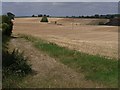 Field on Sock Hill