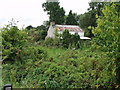 Country cottage nestling in its natural garden