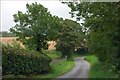 The Hill Road near Loughbrickland