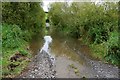 The Brickland Road near Loughbrickland (2)