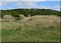 Bagworth Heath, Leicestershire