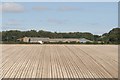 Wharram Percy Farm from the Wolds Way