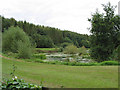 Pool between Netherton and Greytree