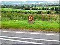 Milestone at Canegore Corner