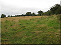 Farmland near Beech