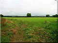 Easterly view towards Craddock